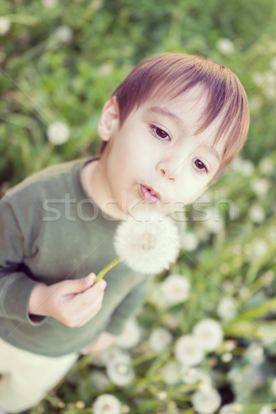 Cute kid having fun with dandelions Stock photo © zurijeta