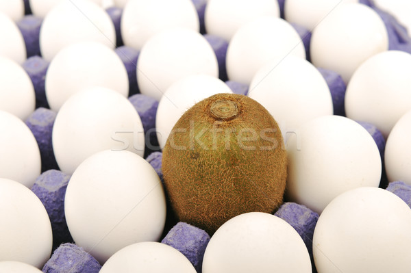 Seuls kiwi oeuf blanche différent [[stock_photo]] © zurijeta