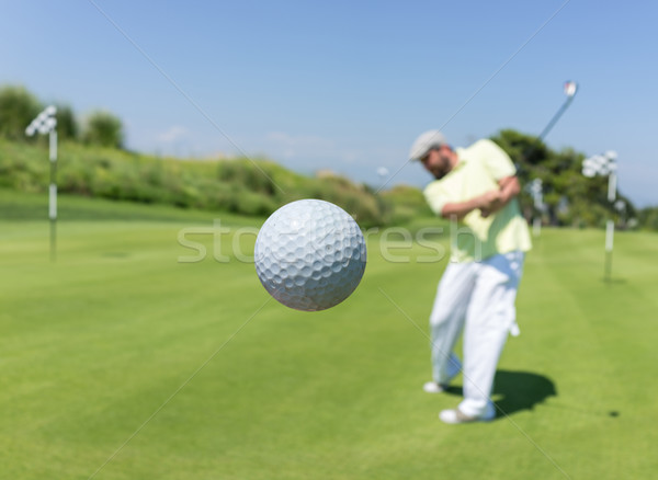 Homem jogar golfe clube natureza verão Foto stock © zurijeta