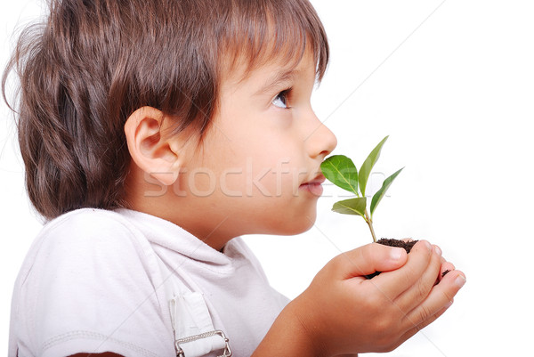 Little cute child holding green plant in hands Stock photo © zurijeta