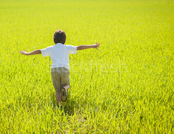 Lopen mooie groene Geel grasveld Stockfoto © zurijeta