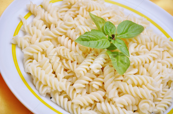   Italian macaroni  Stock photo © zurijeta
