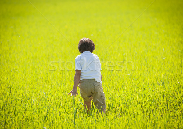 孩子 快樂 時間 性質 草地 天空 商業照片 © zurijeta