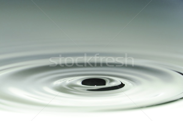 Water drop Stock photo © zurijeta