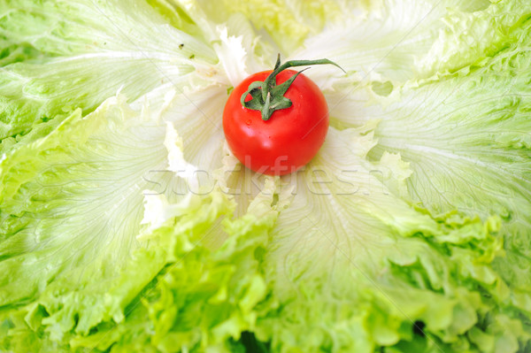 Paradicsom zöld saláta levél egészség űr Stock fotó © zurijeta