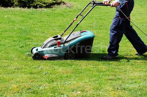 Man grasmaaier groen gras werknemer gras tuin Stockfoto © zurijeta