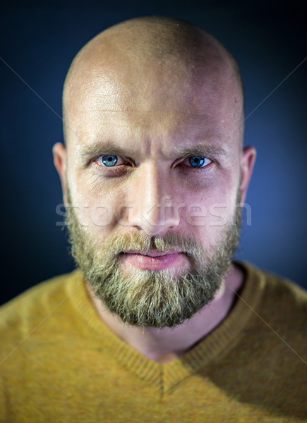 Ritratto Dell'uomo Calvo Con La Barba Immagine Stock - Immagine di calvo,  maschio: 113112457