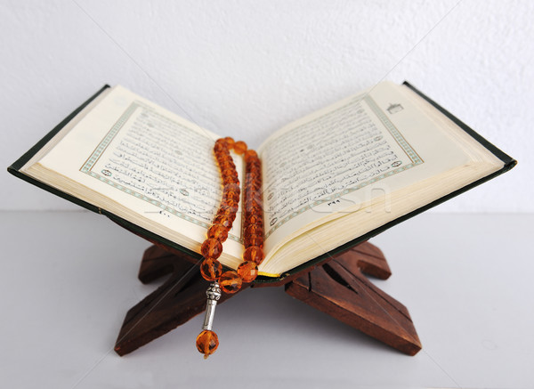 essay on my favourite book quran My favourite book is ‘city of joy’ written by dominique lappiere write a short essay on your favourite festival write an essay on your favourite author. essay on my favourite book quran My favourite book is ‘city of joy’ written by dominique lappiere write a short essay on your favourite festival write an essay on your favourite author.