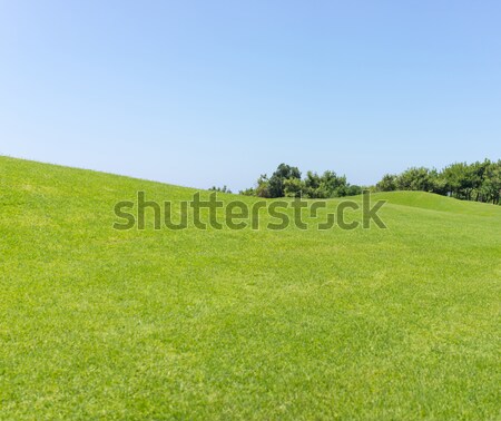 Stockfoto: Perfect · gras · weide · golfbaan · veld · sport