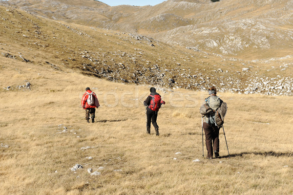 Sportiv Drumeţii munţi mers iarbă natură Imagine de stoc © zurijeta