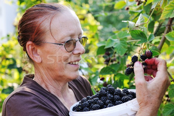 BlackBerry cosecha recoger altos femenino Foto stock © zurijeta