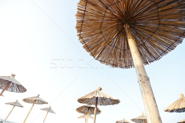 Strandszékek esernyő tengerpart copy space naplemente tenger Stock fotó © zurijeta