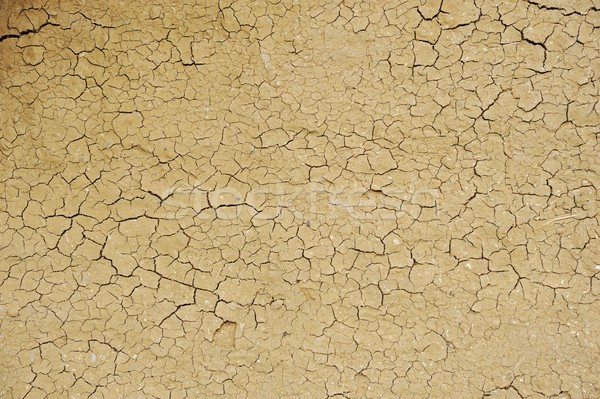 Dry and cracked clay on very old wall Stock photo © zurijeta