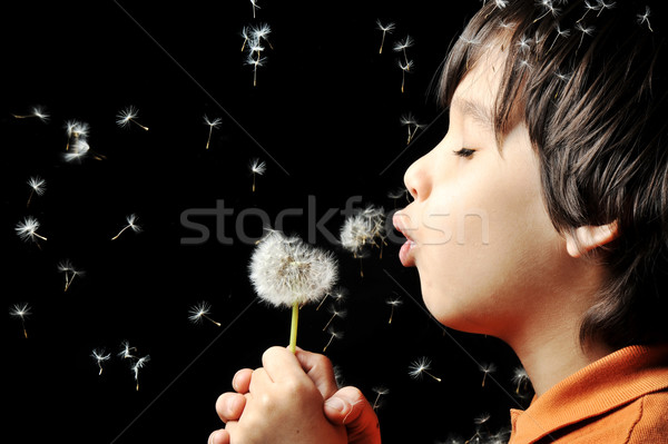 Blowing flower Stock photo © zurijeta
