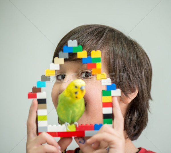 Kid playing with his pet parrot Stock photo © zurijeta