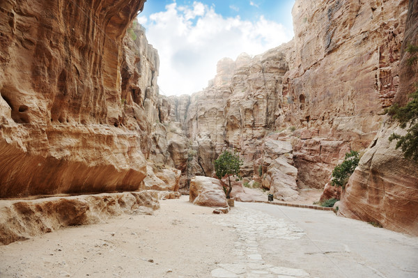 The Siq - ancient canyon in Petra, Jordan Stock photo © zurijeta