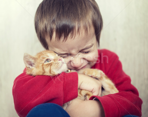 Boldog kicsi gyerek tart citromsárga cica Stock fotó © zurijeta