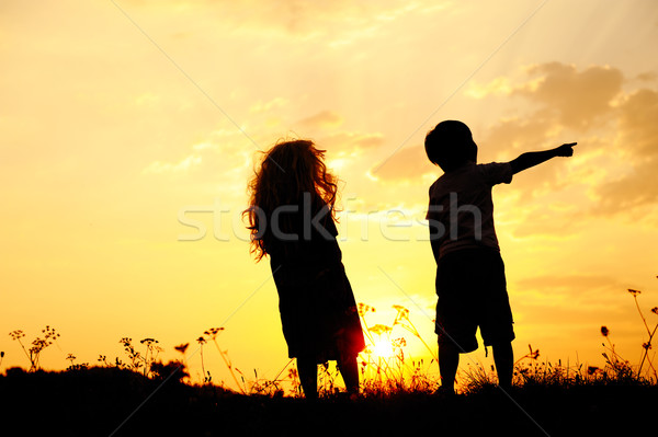 Foto d'archivio: Silhouette · gruppo · felice · bambini · giocare · prato
