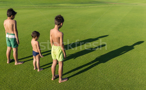 Mükemmel çim alanı güzel çim çayır Stok fotoğraf © zurijeta