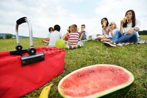Family with children having picnic time on green meadow in natur Stock photo © zurijeta