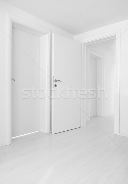 Empty home interior doors and floor Stock photo © zurijeta