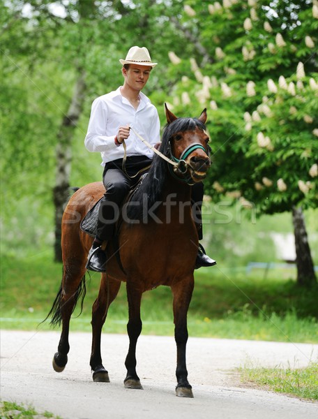 Giovani uomo equitazione cavallo Foto d'archivio © zurijeta