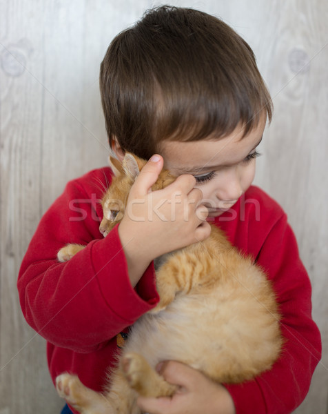 Glücklich wenig kid halten gelb Kitty Stock foto © zurijeta