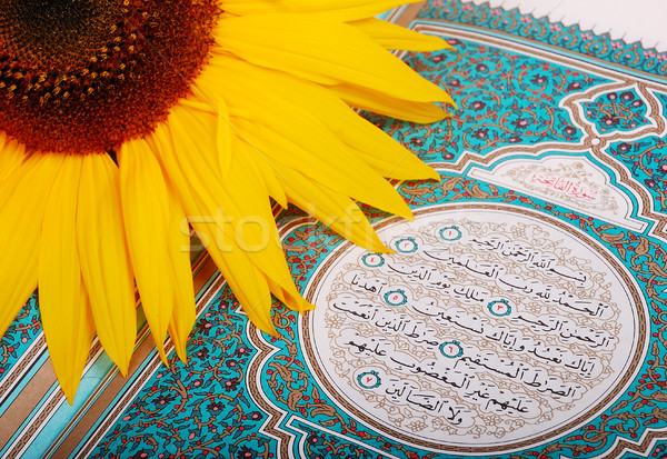 Heilig islam Buch Licht Recht Sonnenblumen Stock foto © zurijeta