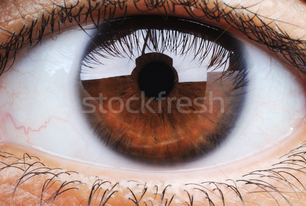 Closeup of human eye, macro mode Stock photo © zurijeta