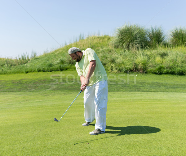 Bem sucedido homem jogar golfe clube natureza Foto stock © zurijeta