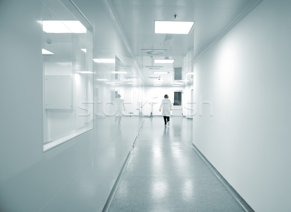 Modern bright factory interior with working people in motion Stock photo © zurijeta