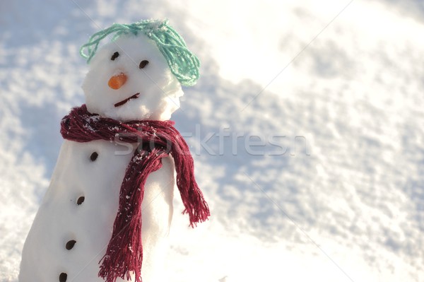 Snowman for winter christmas Stock photo © zurijeta