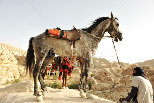 Man and horses in nature Stock photo © zurijeta