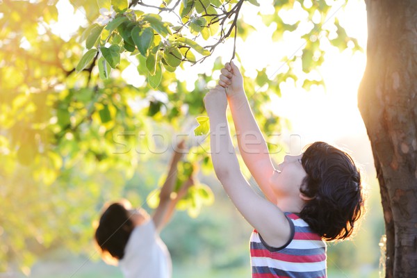 Happy kid outdoors in nature having good time Stock photo © zurijeta