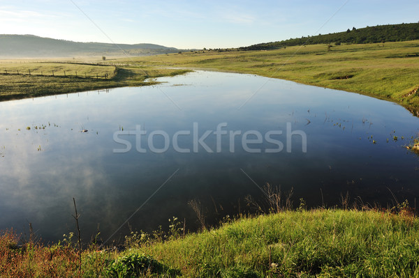 Small lake in nature in the morning Stock photo © zurijeta