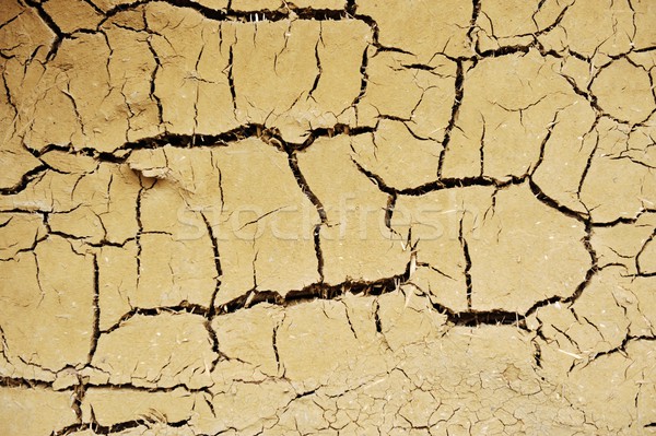 Dry and cracked clay on very old wall Stock photo © zurijeta