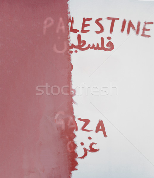 Conceptual image of wiping out the Palestine from the map Stock photo © zurijeta