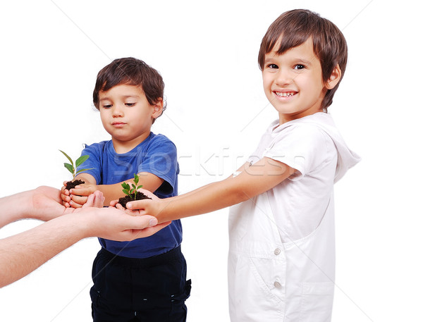 Weinig cute kinderen groene plant Stockfoto © zurijeta