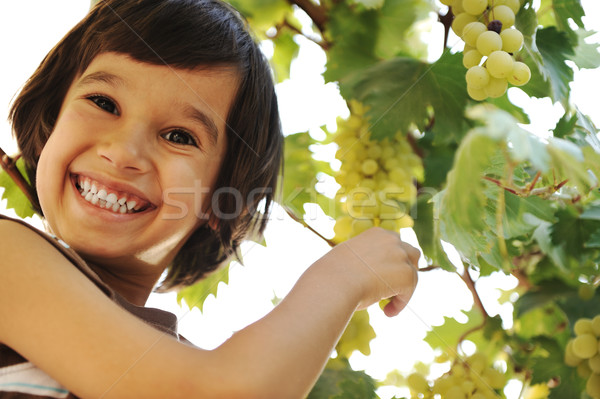 Smiling preteen boy with grapes on grapevine background Stock photo © zurijeta