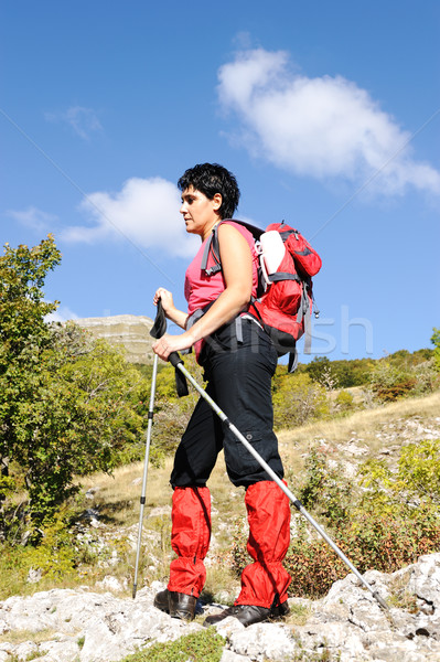 Nordic Walking in Autumn mountains, hiking woman Stock photo © zurijeta