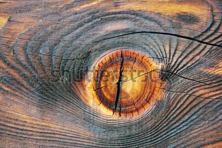 Wooden texture Stock photo © zurijeta