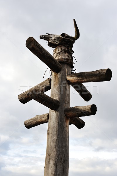 Totem with scull Stock photo © zurijeta