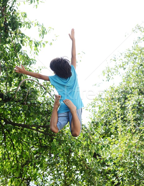 Kid jumping high in nature surrounded by trees Stock photo © zurijeta