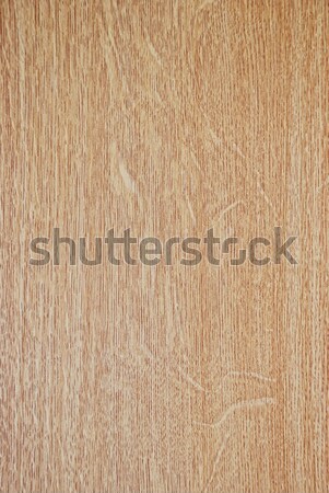 Interesante forma patrón madera forestales Foto stock © zurijeta