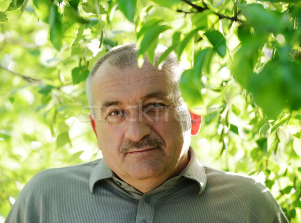 Portrait of a middle aged man with mustache in nature Stock photo © zurijeta