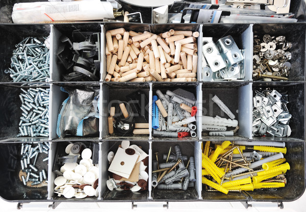 Toolbox with arranged screws Stock photo © zurijeta