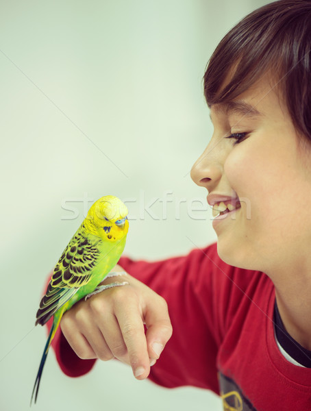 Kid playing with his pet parrot Stock photo © zurijeta