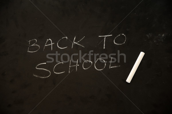 Education activities in classroom at school, happy children learning Stock photo © zurijeta