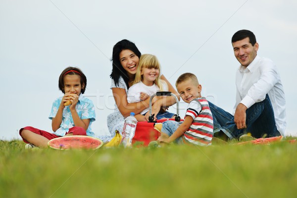 Família crianças piquenique tempo verde prado Foto stock © zurijeta