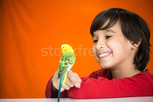Kid playing with his pet parrot Stock photo © zurijeta